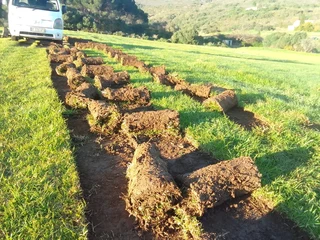 We do supply and installation off national green grass