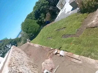 We do supply and installa buffalo grass