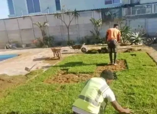 We do supply and installa buffalo grass