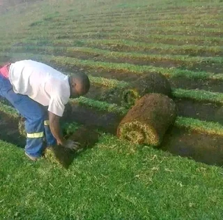 We do supply and installation call type of roll on lawn grass