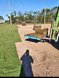 We do supply and installation call type of roll on lawn grass