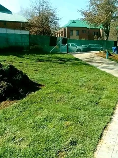 We do supply and installation call type of roll on lawn grass