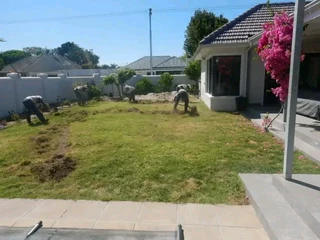 Roll on lawn buffalo grass