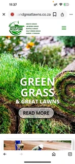 Supply and installa buffalo grass