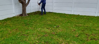 Supply and installa buffalo grass