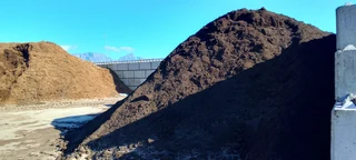 Supply and installa buffalo grass