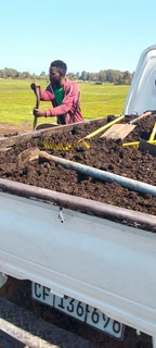 Supply and installa buffalo grass