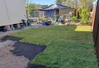 Supply and installa buffalo grass