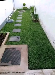 Roll on lawn Kikuyu grass