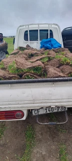 Roll on lawn Kikuyu grass