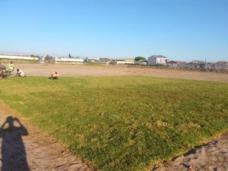 Supply and installa buffalo grass