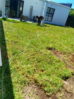 Supply and installa buffalo grass