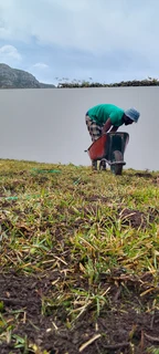 Supply and installa buffalo grass