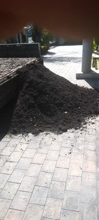 Supply and installa buffalo grass