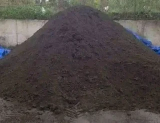 Supply and installation off buffalo grass and Kikuyu grass