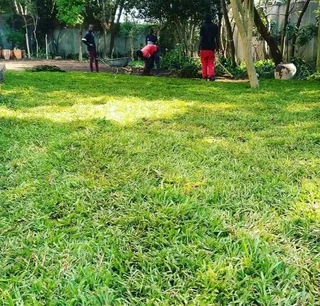 We do supply and installa Cyndone grass