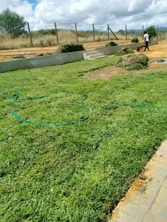 We do supply and installa Cyndone grass