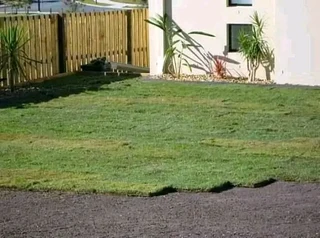 We do supply and installa Cyndone grass