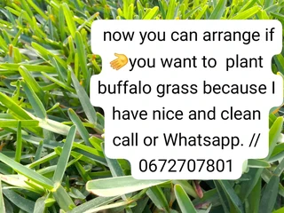 Supply and installa call type of national grass