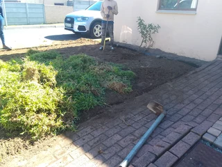 Roll on lawn Lm Berea grass