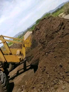 Roll on lawn Lm Berea grass