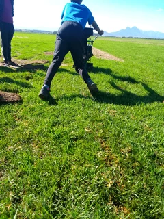 We do supply and installa call type of national grass