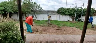 We do sell roll on lawn Kikuyu grass