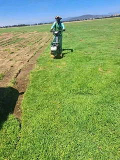 Professionals With Immense Experience In Installation & Laying National Grass