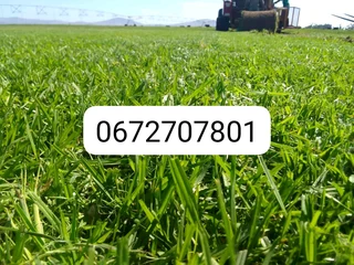 PROFESSIONALS WITH IMMENSE EXPERIENCE IN INSTALLATION &amp; LAYING NATIONAL GRASS