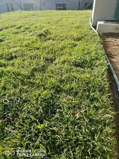 We do supply and installa call type of  national grass