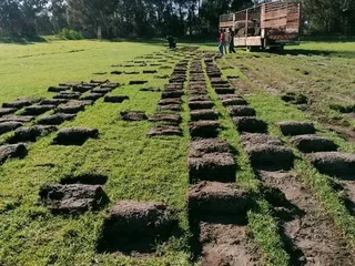 We do supply and installa call type of  national grass