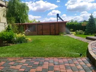 Roll on lawn buffalo grass and compost weed free