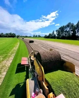 Roll on lawn buffalo grass and compost weed free