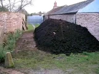 Roll on lawn buffalo grass and compost weed free