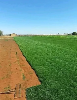 We do roll on lawn Kikuyu grass and buffalo grass