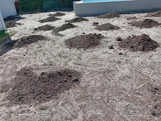 We do roll on lawn Kikuyu grass and buffalo grass