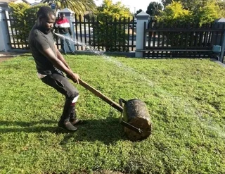 Delivery and installa buffalo grass