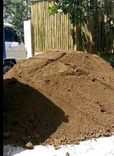 Roll on lawn Kikuyu grass