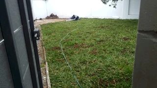 Delivery and installa buffalo grass