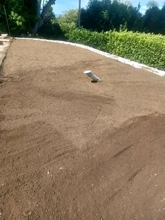 Delivery and installa buffalo grass