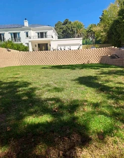 Delivery and installa buffalo grass