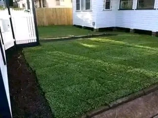 Roll on lawn Lm Berea grass and buffalo grass