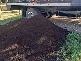 Roll on lawn Lm Berea grass and buffalo grass