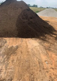 Green and fresh national grass from fram