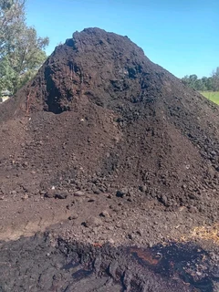 GREEN AND FRESH GRASS STRAIGHT FROM THE FARM  WhatsApp number 0672707801 PROFESSIONALS WITH IMMENSE