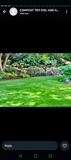 Professionals With Immense Experience In Installation & Laying National Grass