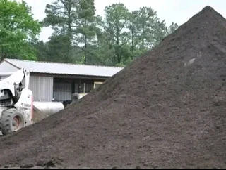 PROFESSIONALS WITH IMMENSE EXPERIENCE IN INSTALLATION &amp; LAYING NATIONAL GRASS