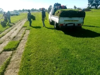 We do supply and installa buffalo grass