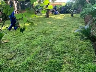 Delivery and installa Lm Berea grass