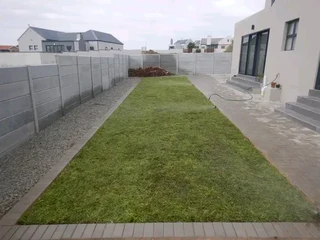 Roll on lawn Kikuyu grass